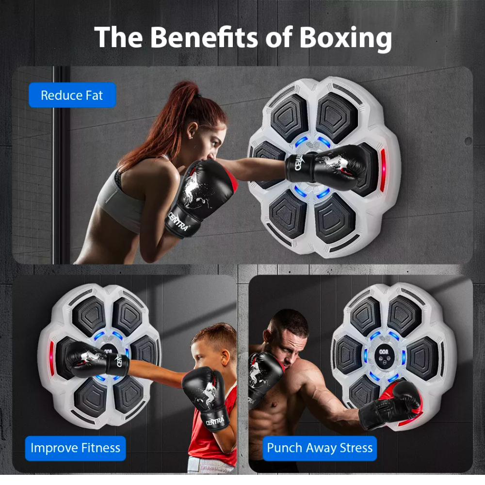 Smart Boxing Pad